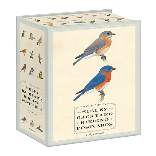 Achtertuin Vogelkaarten