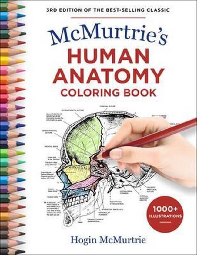Menselijke Anatomie Kleurboek