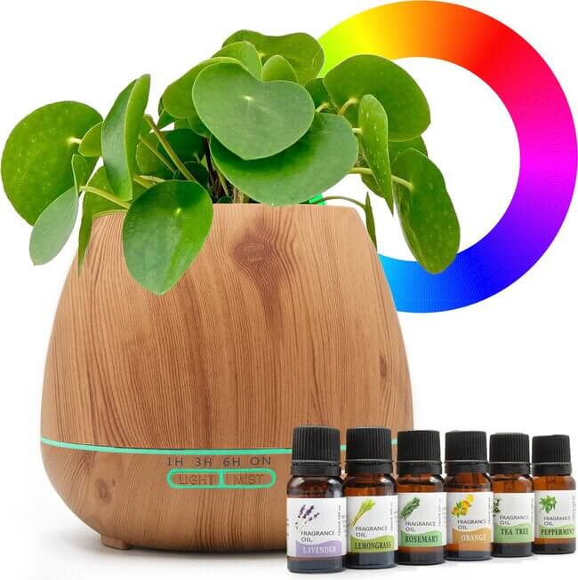 Aroma Diffuser met Bloempot